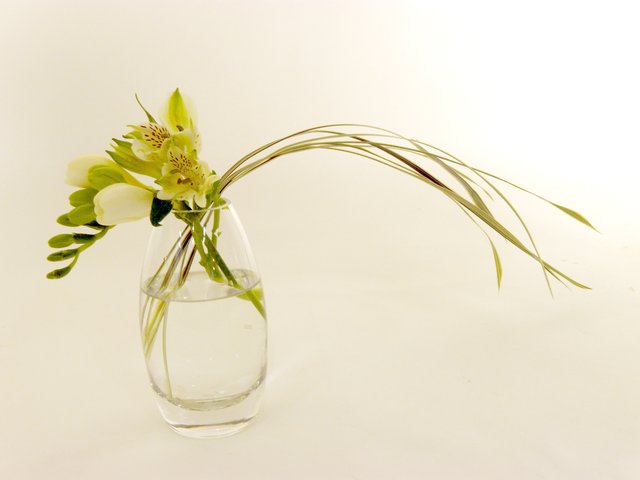 Florist Flower Arrangement - Monthly (D) - P7955 Photo