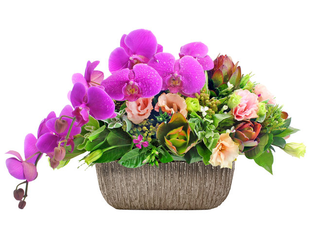 Florist Flower Arrangement - On Cloud Nine DE10 - L154577 Photo