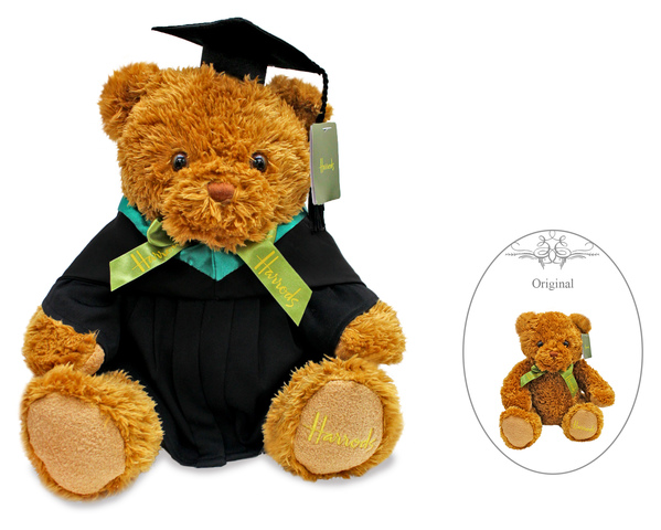 Florist Gift - Harrods Graduation Bear- Ethan Bear  - L18325 Photo