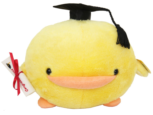 Florist Gift - Piyo Piyo Graduation Toy 10